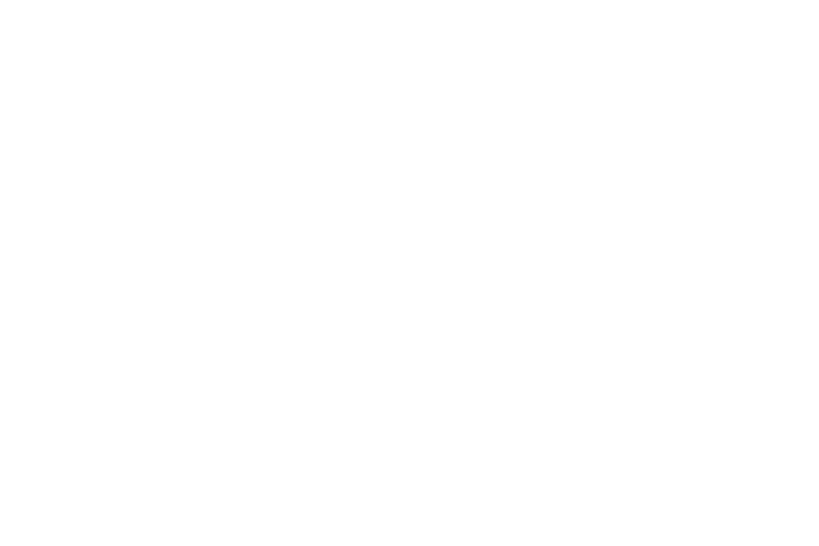 Logo_vollereaux_wit
